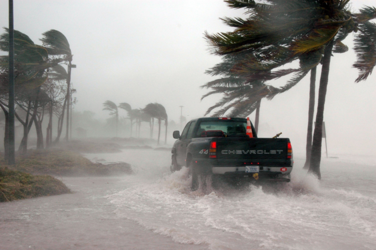 Storm Damage in Sarasota